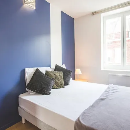 Colocation De Luxe à Avec Jardin Tourcoing