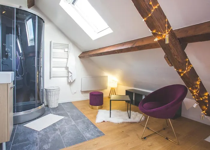 Colocation De Luxe A Avec Jardin Tourcoing