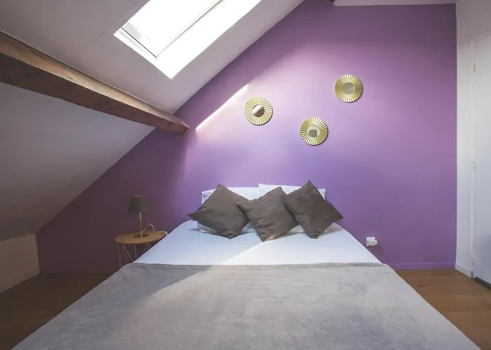 Colocation De Luxe A Avec Jardin Guest house