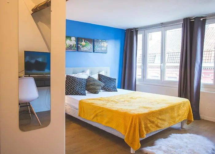 Colocation De Luxe A Avec Jardin Guest house