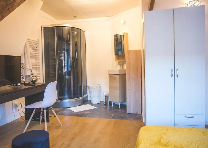 Colocation De Luxe A Avec Jardin Tourcoing