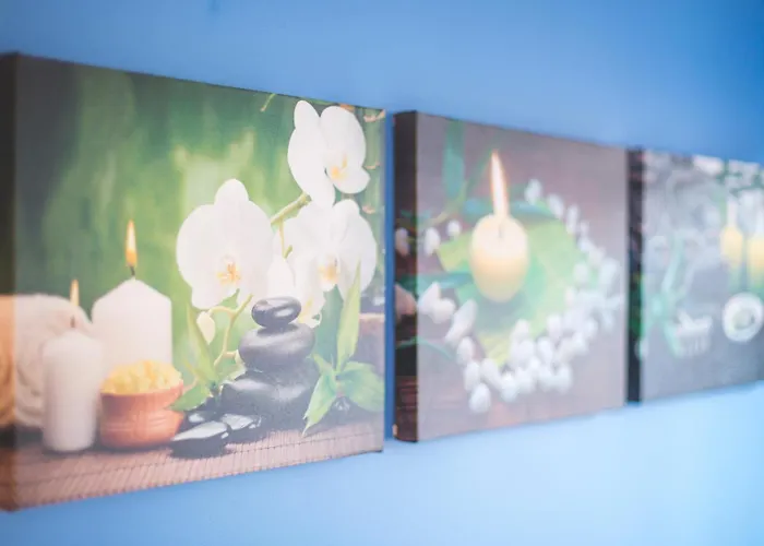 Colocation De Luxe A Avec Jardin Guest house Tourcoing