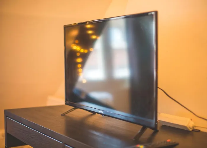 Colocation De Luxe A Avec Jardin Tourcoing