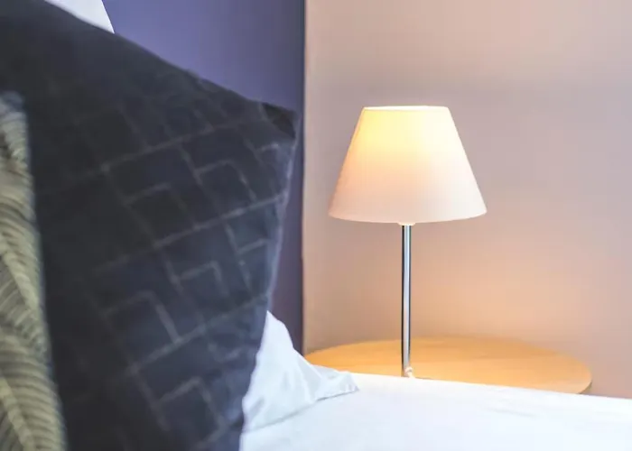 Colocation De Luxe A Avec Jardin Tourcoing