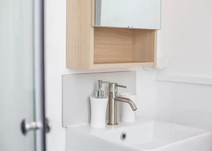 Colocation De Luxe A Avec Jardin * Tourcoing