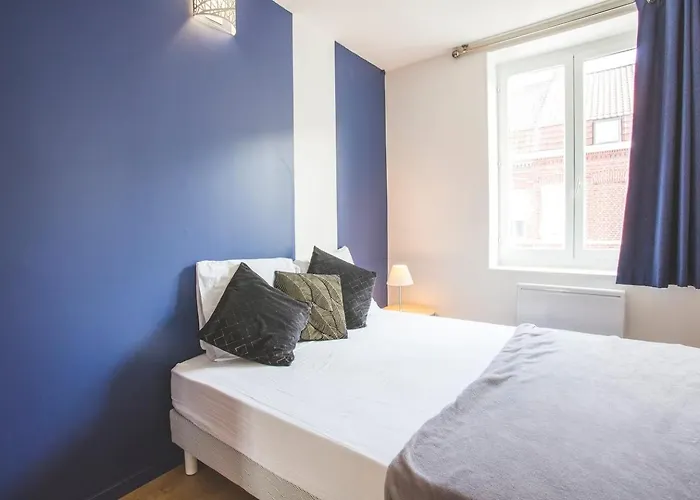 Colocation De Luxe A Avec Jardin Tourcoing