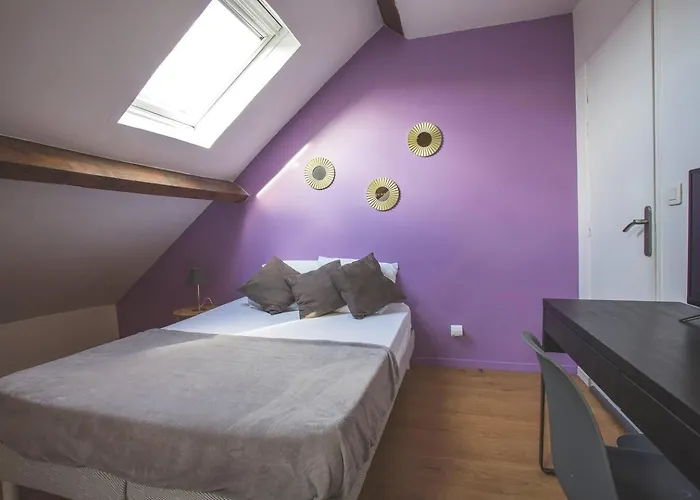 Colocation De Luxe A Avec Jardin Guest house