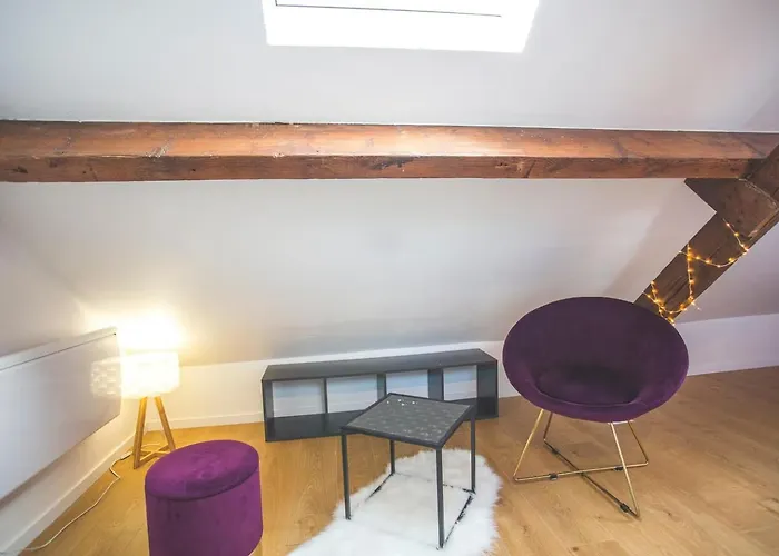 Colocation De Luxe A Avec Jardin Guest house