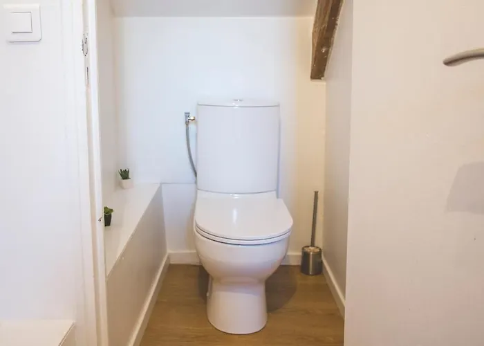 Colocation De Luxe A Avec Jardin * Tourcoing