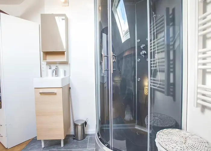 Colocation De Luxe A Avec Jardin *