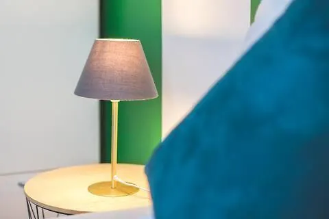 Guest house Colocation De Luxe A Avec Jardin *